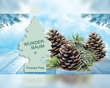 Wunderbaum 3-pack, Frosted Pine WunderBaum