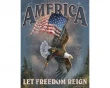 Köp America Let Freetdom Reign - Retro..