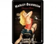 Köp Vykort Harley Davidson - Biker Babe