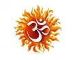 Ohm - CarTattoo