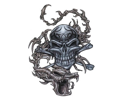 Köp Skull & Dragon - 8x11 Billigt Online