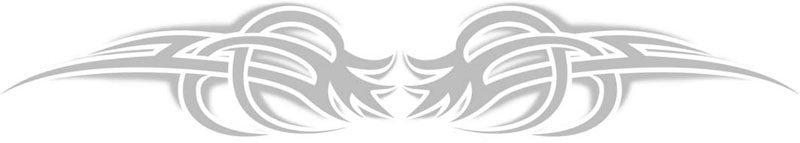 Köp Bakrutedekal - Dragon Wings Billigt Online