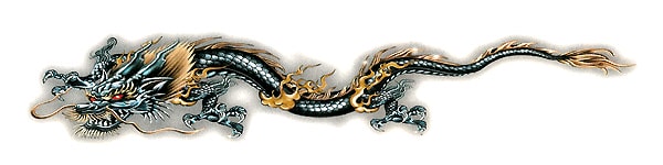 Köp Burning Dragon x2 - Dekal Billigt Online