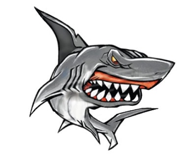 Köp Shark II Dekal - 11x10 Billigt Online