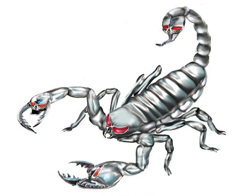 Köp Silver Scorpion - 11x10 Billigt Online