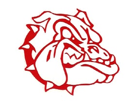 Köp Bulldog Big Billigt Online