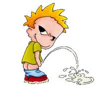 Köp Piddler - CarTattoo Billigt Online