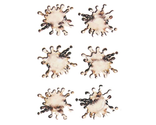 Köp Fågelskit - Stickers Billigt Online