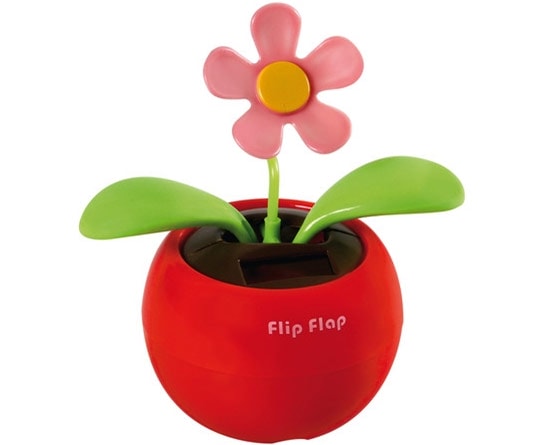 Köp Happy Garden - Daisy Billigt Online