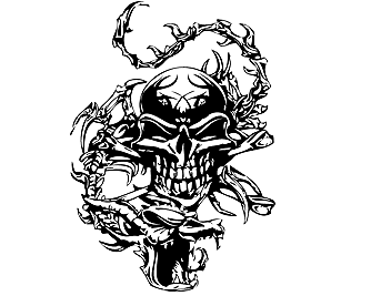Köp Skull and Snake Billigt Online
